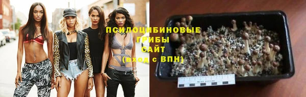 спайс Ветлуга