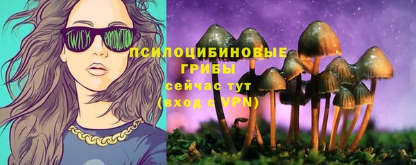 метадон Видное