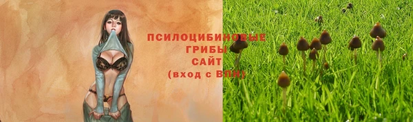 спайс Ветлуга