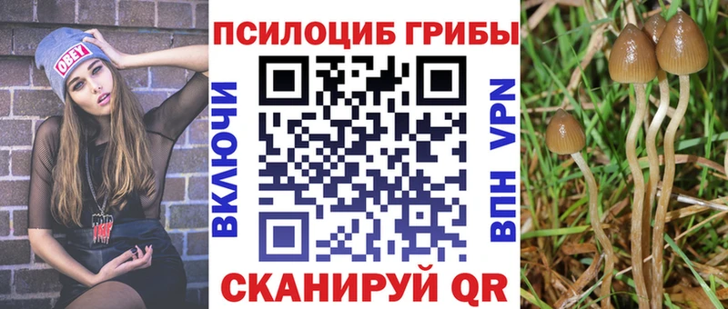Псилоцибиновые грибы мицелий  продажа наркотиков  Кемь 